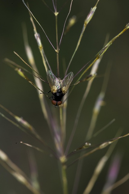 Maniquí con prendas básicas creando una cápsula de armario